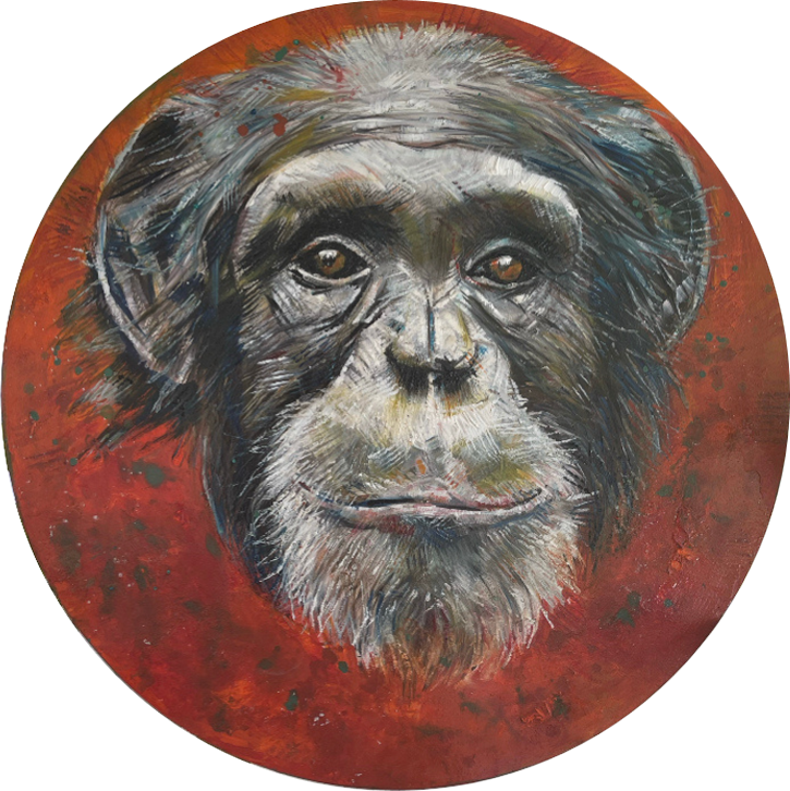 Chimpanzee — obra original de Cristina Ybarra