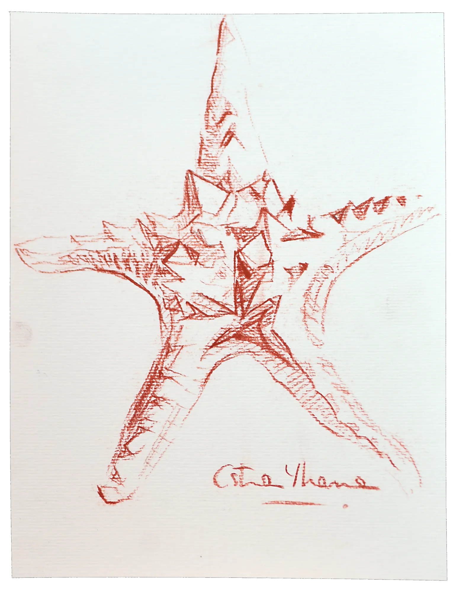 Estrella de Mar — obra original de Cristina Ybarra