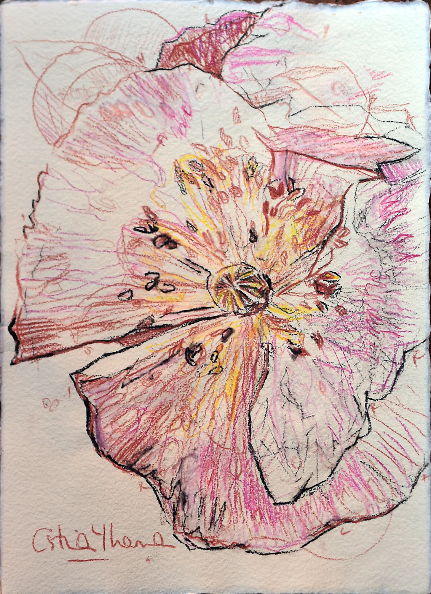 Flor V — obra original de Cristina Ybarra