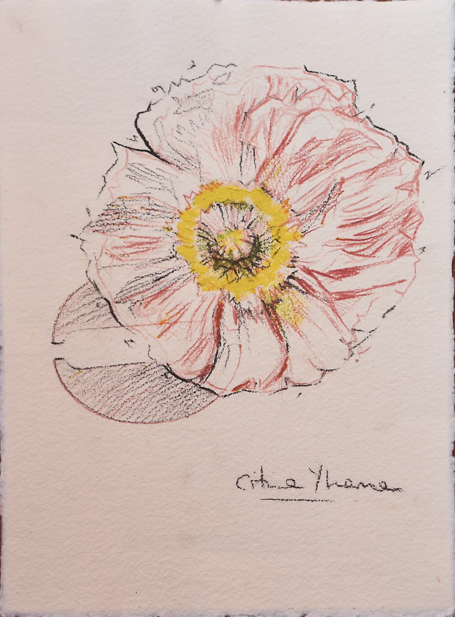 Flor VI — obra original de Cristina Ybarra